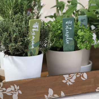 "jardin d’herbes aromatiques"